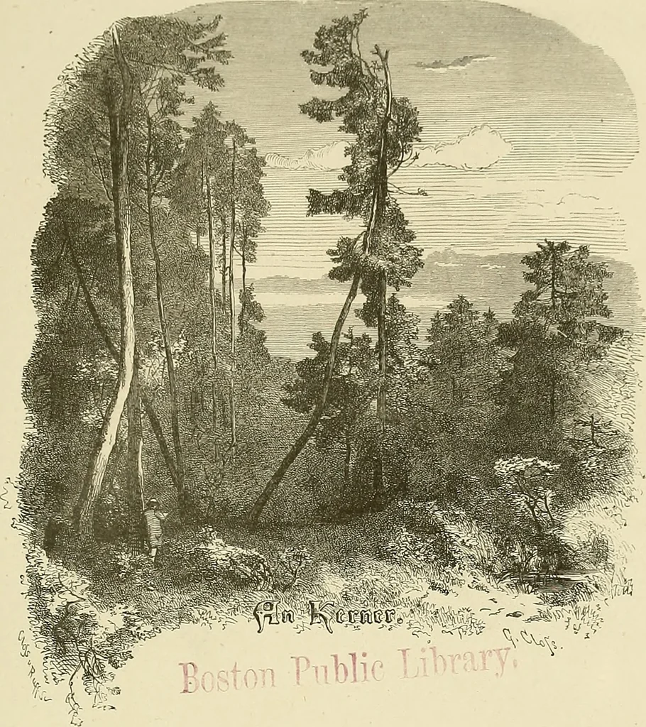 An illustration from Bilder-Album zur neueren Geschichte des Holzschnitts in Deutschland., 1877, leaf 150