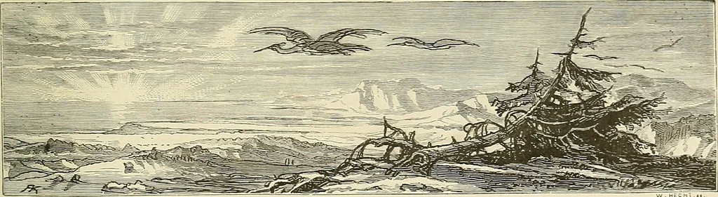 An illustration from Bilder-Album zur neueren Geschichte des Holzschnitts in Deutschland., 1877, leaf 150