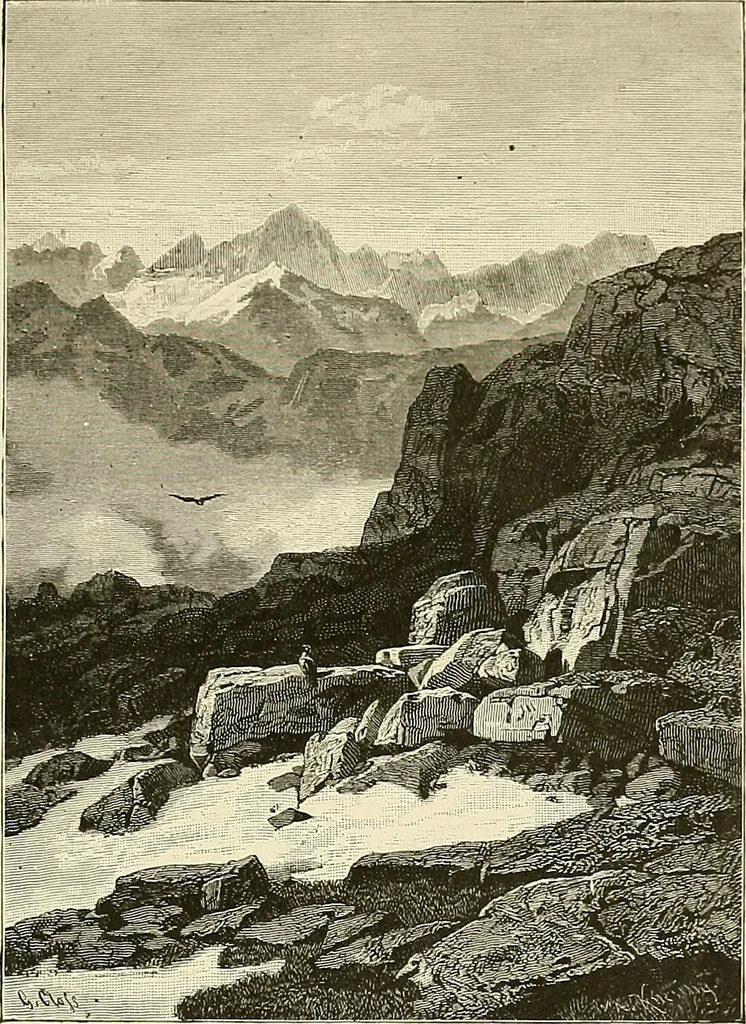 An illustration from Bilder-Album zur neueren Geschichte des Holzschnitts in Deutschland., 1877, leaf 154