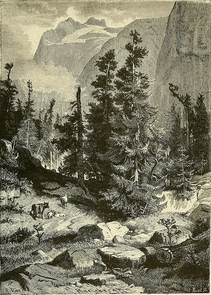 An illustration from Bilder-Album zur neueren Geschichte des Holzschnitts in Deutschland., 1877, leaf 156