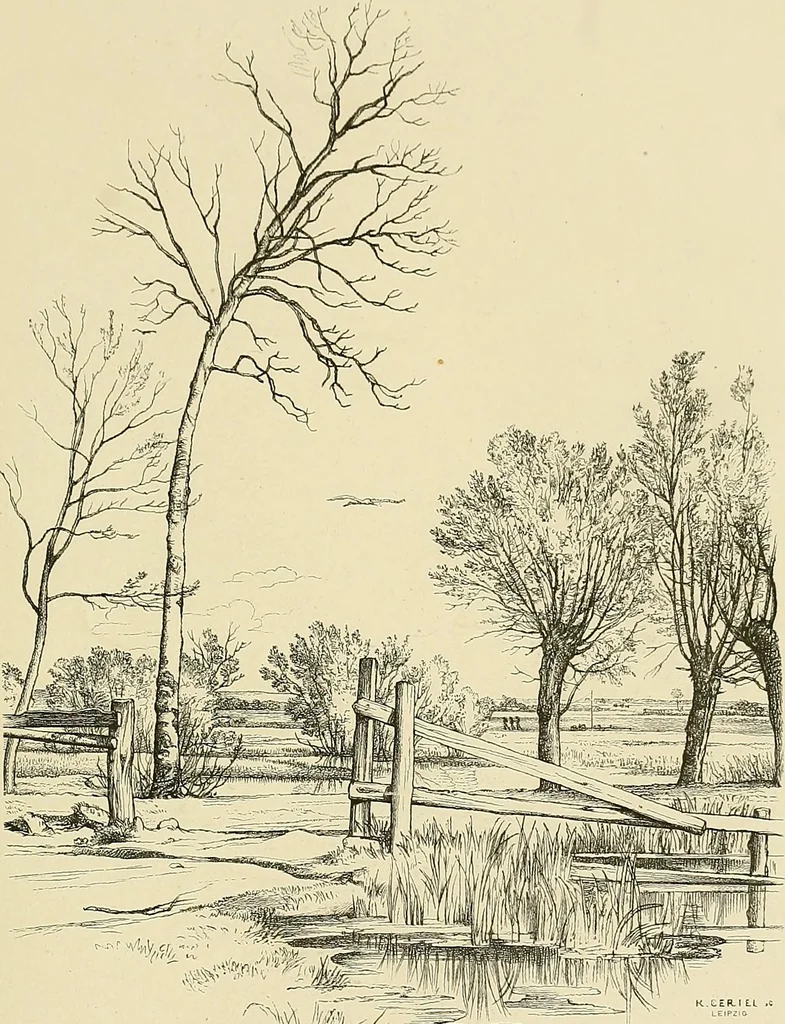 An illustration from Bilder-Album zur neueren Geschichte des Holzschnitts in Deutschland., 1877, leaf 242