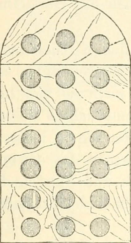 An illustration from Bilder aus der Geschichte der altchristlichen Kunst und liturgie in Italien, 1899, leaf 86
