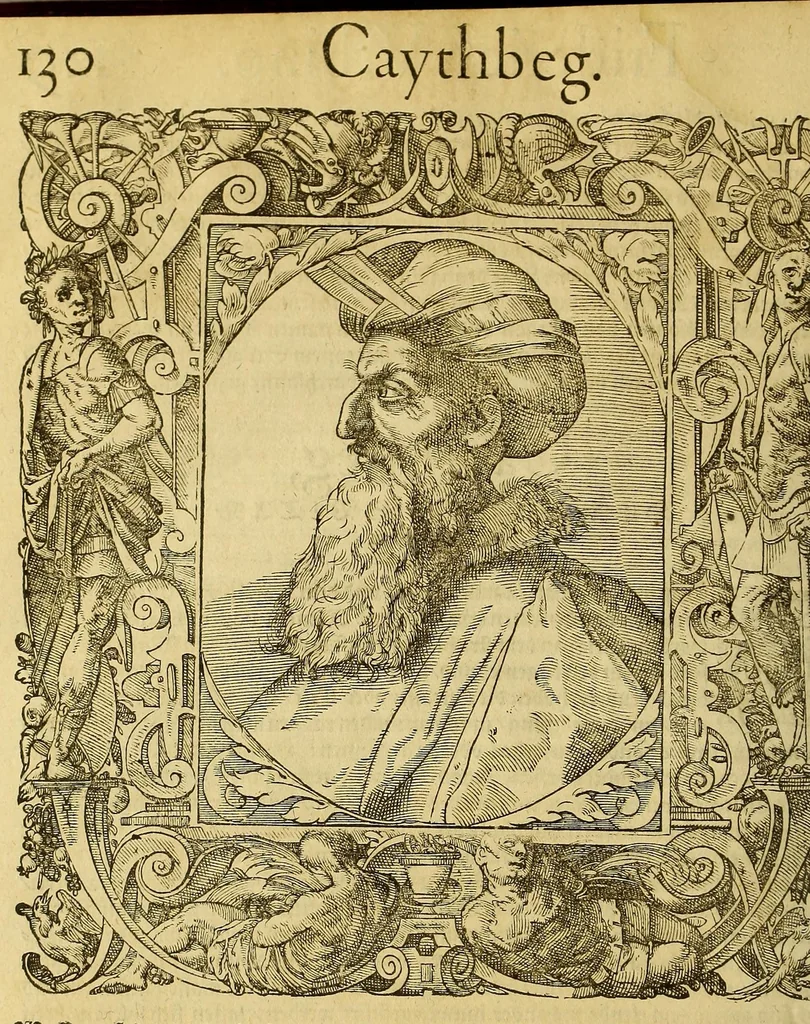 An illustration from Bildnisse viler zum Theyle vou [sic] vralten, zum Theyle von newlichern Zeiten her, Kriegs vnd anderer weltlicher Hänndel halben, bej Christen vnnd Vnchristen gewesener berühmter Keyser, Könige, Fürsten, Grauen vnd Edeln, in massen dieselbige Paulus Iouius, vorweilen Bischoff von Nocera, durch allerley Gelegenheyt zusammen gebracht, vnd in seiner Bibliotheca oder Librareje zu Newen Como abgemalt hinderlassen. : Mit kurtzverfassten Beschreibungen jhres jedes geführten Lebens vnd Wesens, dardurch sie fürnemlich in Gutem oder Bösem bekannt vnd namhafftig worden, etlicher massen aus Pauli Iouij, vnd gleichwol mehrern theyls, aus andern in latinischer, italianischer, franzosischer, spanischer vnnd teutscher Sprache aussgangenen Chronicken vnd Historien zum fleissigsten erklärt, vnd jetz erstlich in offenen Truck verordnet:, 1582, leaf 150