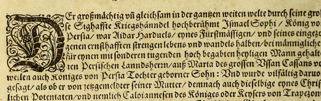 An illustration from Bildnisse viler zum Theyle vou [sic] vralten, zum Theyle von newlichern Zeiten her, Kriegs vnd anderer weltlicher Hänndel halben, bej Christen vnnd Vnchristen gewesener berühmter Keyser, Könige, Fürsten, Grauen vnd Edeln, in massen dieselbige Paulus Iouius, vorweilen Bischoff von Nocera, durch allerley Gelegenheyt zusammen gebracht, vnd in seiner Bibliotheca oder Librareje zu Newen Como abgemalt hinderlassen. : Mit kurtzverfassten Beschreibungen jhres jedes geführten Lebens vnd Wesens, dardurch sie fürnemlich in Gutem oder Bösem bekannt vnd namhafftig worden, etlicher massen aus Pauli Iouij, vnd gleichwol mehrern theyls, aus andern in latinischer, italianischer, franzosischer, spanischer vnnd teutscher Sprache aussgangenen Chronicken vnd Historien zum fleissigsten erklärt, vnd jetz erstlich in offenen Truck verordnet:, 1582, leaf 238
