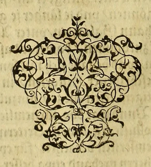 An illustration from Bildnisse viler zum Theyle vou [sic] vralten, zum Theyle von newlichern Zeiten her, Kriegs vnd anderer weltlicher Hänndel halben, bej Christen vnnd Vnchristen gewesener berühmter Keyser, Könige, Fürsten, Grauen vnd Edeln, in massen dieselbige Paulus Iouius, vorweilen Bischoff von Nocera, durch allerley Gelegenheyt zusammen gebracht, vnd in seiner Bibliotheca oder Librareje zu Newen Como abgemalt hinderlassen. : Mit kurtzverfassten Beschreibungen jhres jedes geführten Lebens vnd Wesens, dardurch sie fürnemlich in Gutem oder Bösem bekannt vnd namhafftig worden, etlicher massen aus Pauli Iouij, vnd gleichwol mehrern theyls, aus andern in latinischer, italianischer, franzosischer, spanischer vnnd teutscher Sprache aussgangenen Chronicken vnd Historien zum fleissigsten erklärt, vnd jetz erstlich in offenen Truck verordnet:, 1582, leaf 90