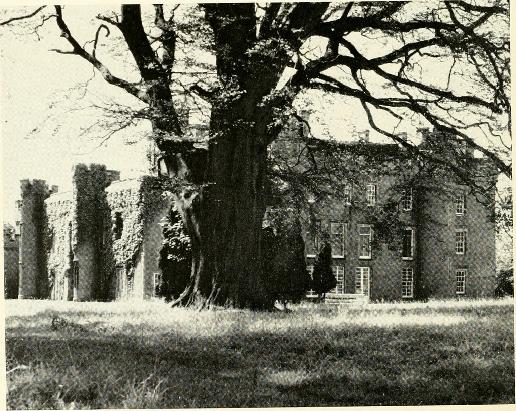 An illustration from The Binns : charter granted on ninth November, 1944 to the National Trust for Scotland by Eleanor Dalyell of The Binns, 1900, leaf 9