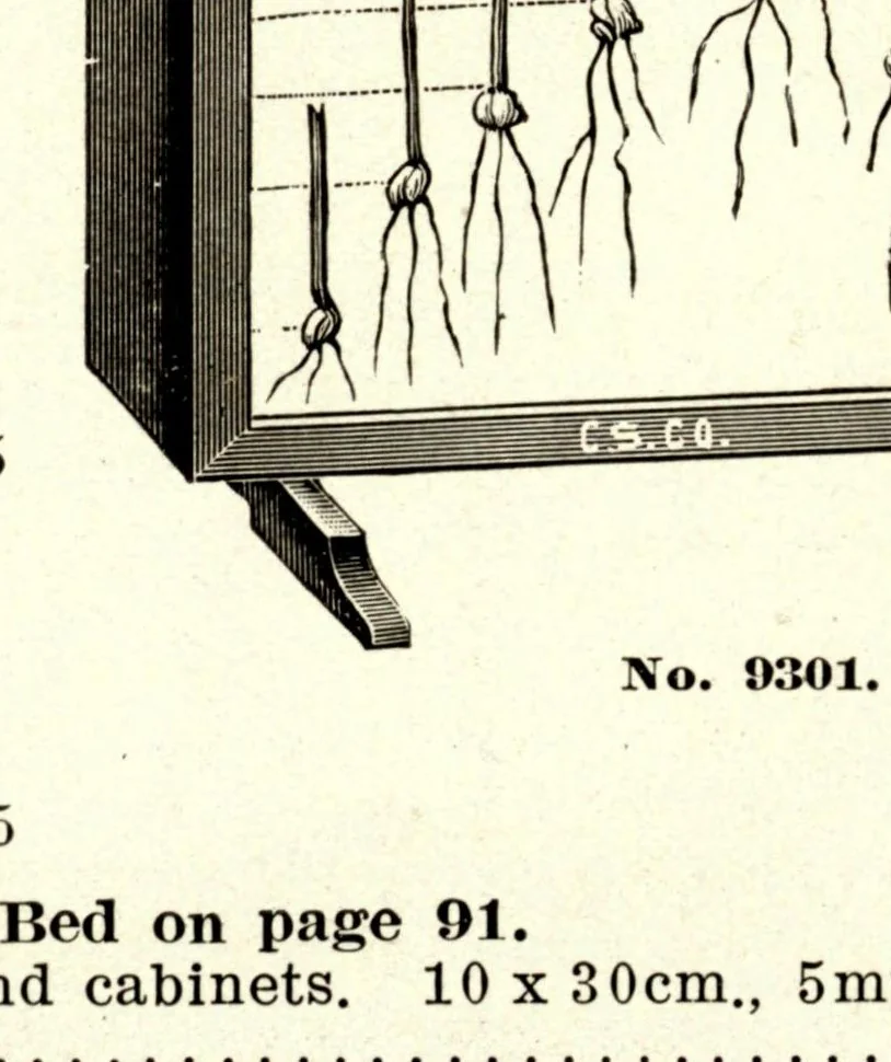 An illustration from Biological Apparatus and Supplies, 1914, leaf 44