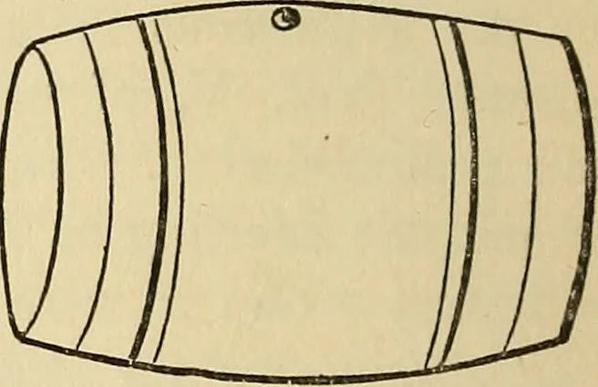 An illustration from The biography and typography of William Caxton, England's first printer, 1882, leaf 21
