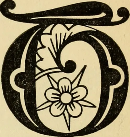An illustration from The biography and typography of William Caxton, England's first printer, 1882, leaf 412