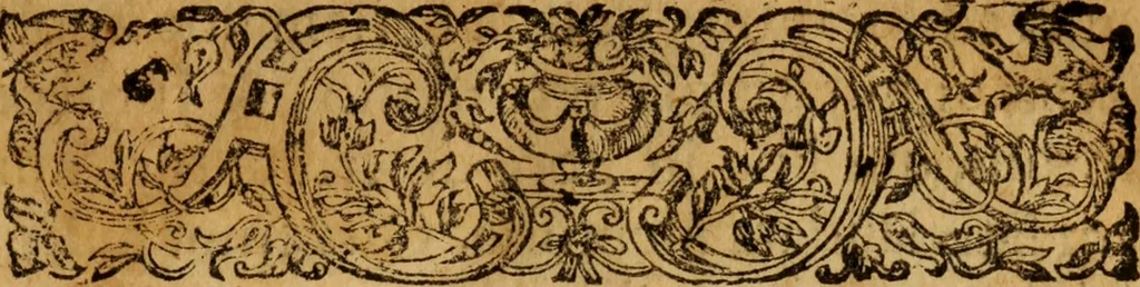 An illustration from Bioi nomikon : sive De jurisperitis libri duo, 1675, leaf 10