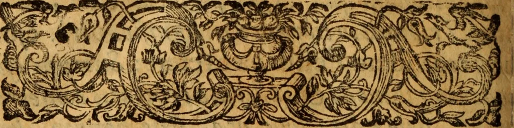 An illustration from Bioi nomikon : sive De jurisperitis libri duo, 1675, leaf 229