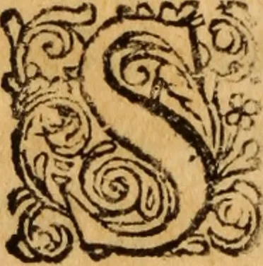 An illustration from Bioi nomikon : sive De jurisperitis libri duo, 1675, leaf 229