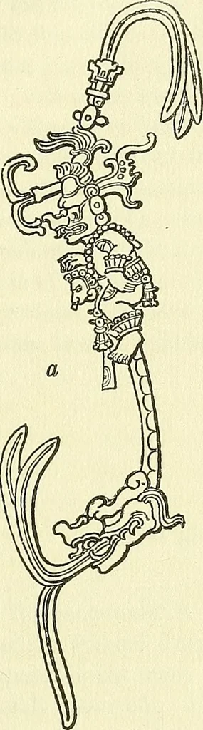 An illustration from Biologia Centrali-Americana, or, Contributions to the knowledge of the fauna and flora of Mexico and Central America, 1889, leaf 106