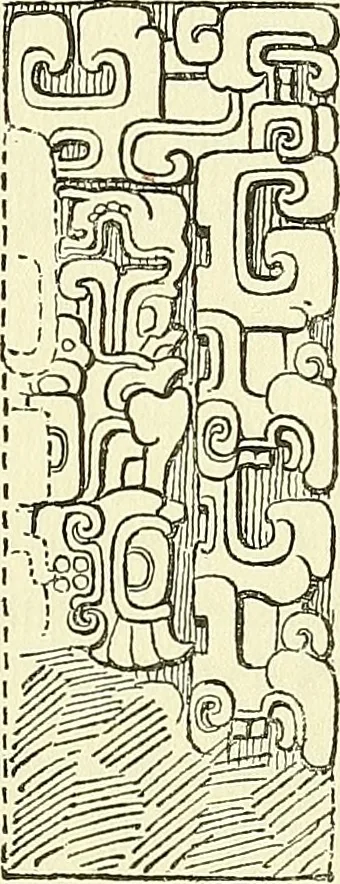 An illustration from Biologia Centrali-Americana, or, Contributions to the knowledge of the fauna and flora of Mexico and Central America, 1889, leaf 106