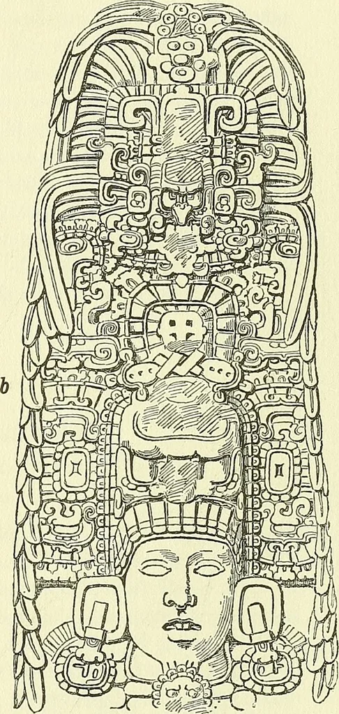 An illustration from Biologia Centrali-Americana, or, Contributions to the knowledge of the fauna and flora of Mexico and Central America, 1889, leaf 106
