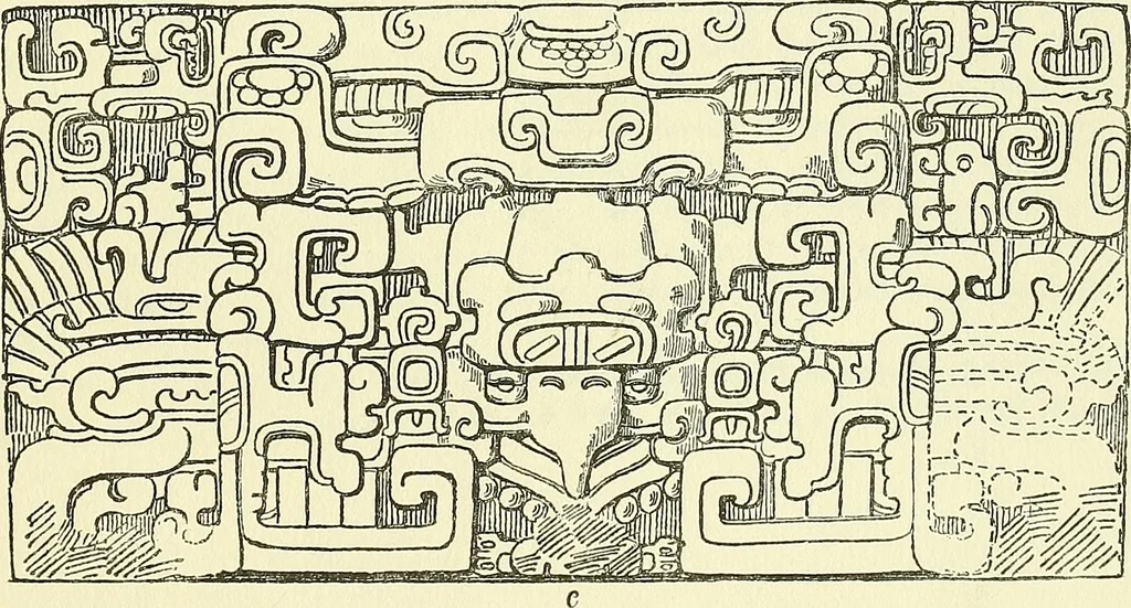 An illustration from Biologia Centrali-Americana, or, Contributions to the knowledge of the fauna and flora of Mexico and Central America, 1889, leaf 106