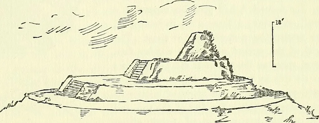 An illustration from Biologia Centrali-Americana, or, Contributions to the knowledge of the fauna and flora of Mexico and Central America, 1889, leaf 120
