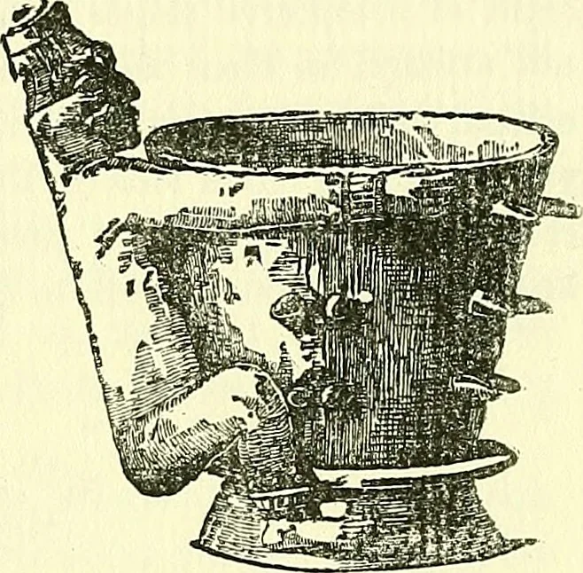 An illustration from Biologia Centrali-Americana, or, Contributions to the knowledge of the fauna and flora of Mexico and Central America, 1889, leaf 121