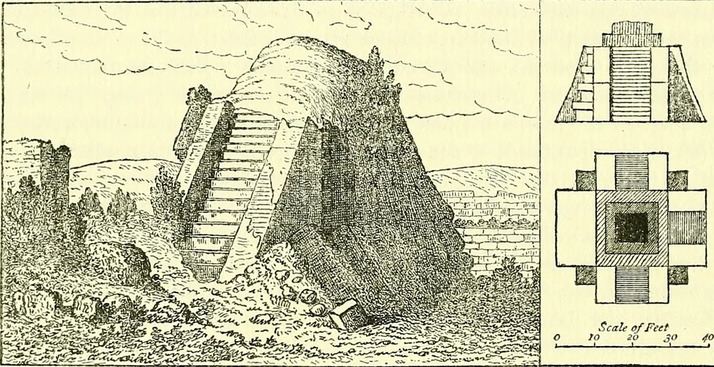 An illustration from Biologia Centrali-Americana, or, Contributions to the knowledge of the fauna and flora of Mexico and Central America, 1889, leaf 133
