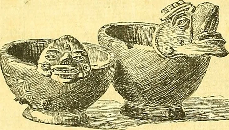 An illustration from Biologia Centrali-Americana, or, Contributions to the knowledge of the fauna and flora of Mexico and Central America, 1889, leaf 143