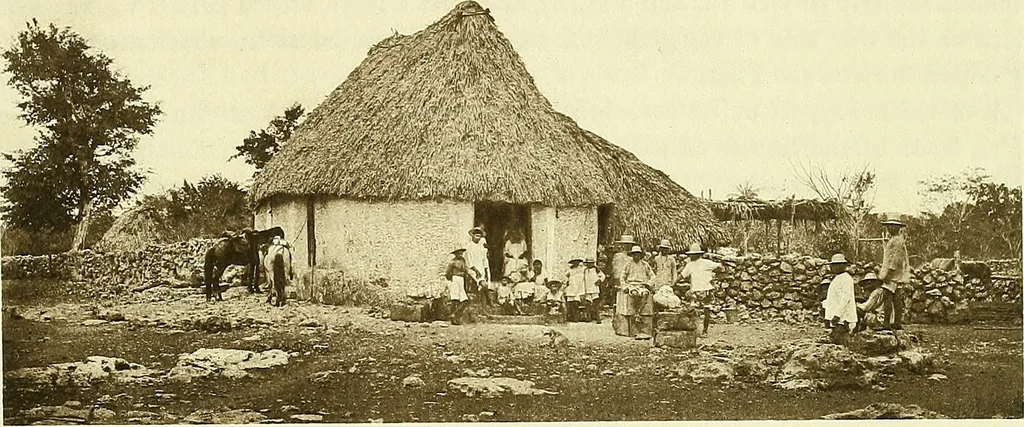 An illustration from Biologia Centrali-Americana, or, Contributions to the knowledge of the fauna and flora of Mexico and Central America, 1889, leaf 162