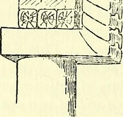 An illustration from Biologia Centrali-Americana, or, Contributions to the knowledge of the fauna and flora of Mexico and Central America, 1889, leaf 177