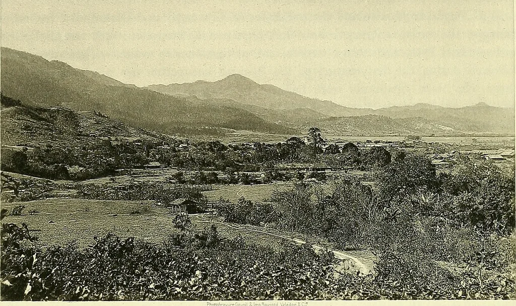 An illustration from Biologia Centrali-Americana, or, Contributions to the knowledge of the fauna and flora of Mexico and Central America, 1889, leaf 20