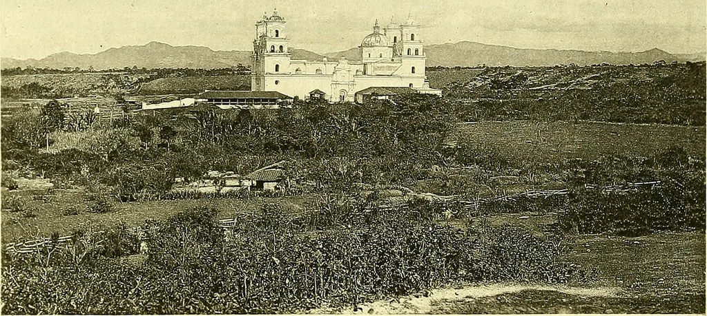 An illustration from Biologia Centrali-Americana, or, Contributions to the knowledge of the fauna and flora of Mexico and Central America, 1889, leaf 23