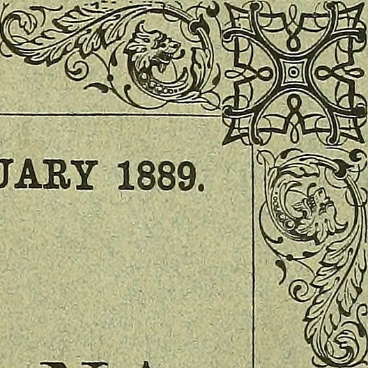 An illustration from Biologia Centrali-Americana, or, Contributions to the knowledge of the fauna and flora of Mexico and Central America, 1889, leaf 242