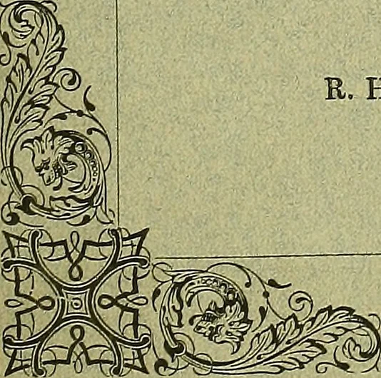 An illustration from Biologia Centrali-Americana, or, Contributions to the knowledge of the fauna and flora of Mexico and Central America, 1889, leaf 242