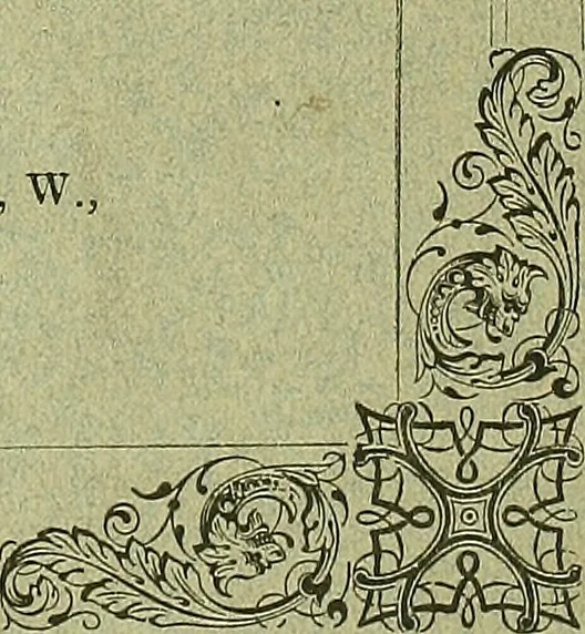 An illustration from Biologia Centrali-Americana, or, Contributions to the knowledge of the fauna and flora of Mexico and Central America, 1889, leaf 242