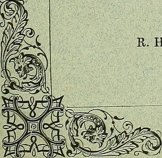 An illustration from Biologia Centrali-Americana, or, Contributions to the knowledge of the fauna and flora of Mexico and Central America, 1889, leaf 246