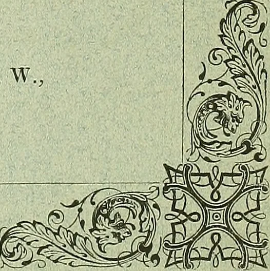 An illustration from Biologia Centrali-Americana, or, Contributions to the knowledge of the fauna and flora of Mexico and Central America, 1889, leaf 246