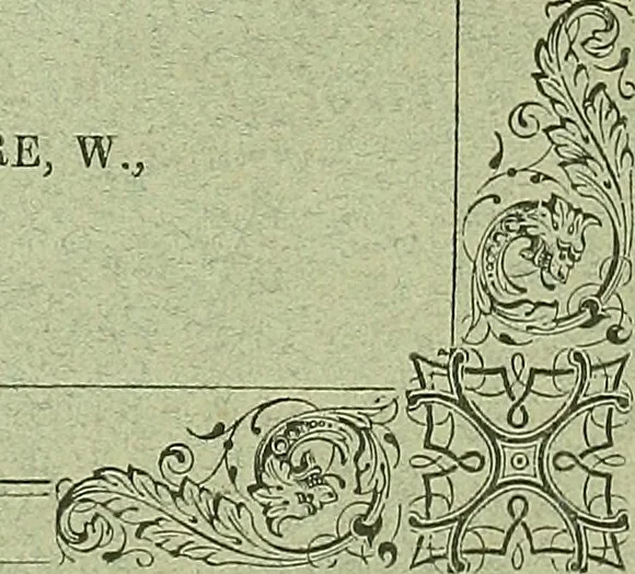 An illustration from Biologia Centrali-Americana, or, Contributions to the knowledge of the fauna and flora of Mexico and Central America, 1889, leaf 262