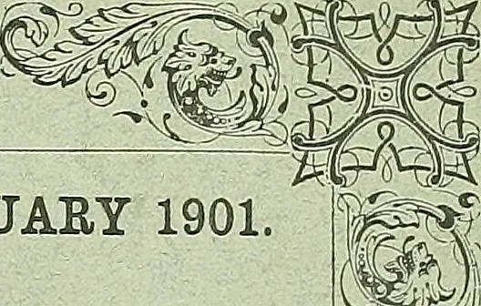 An illustration from Biologia Centrali-Americana, or, Contributions to the knowledge of the fauna and flora of Mexico and Central America, 1889, leaf 266
