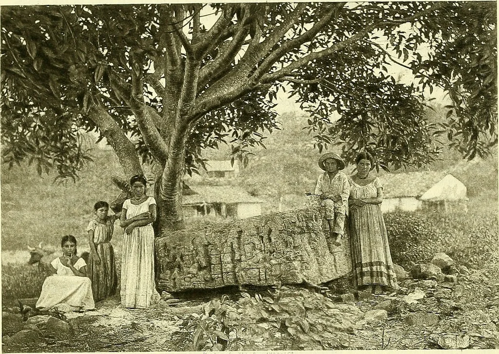 An illustration from Biologia Centrali-Americana, or, Contributions to the knowledge of the fauna and flora of Mexico and Central America, 1889, leaf 29