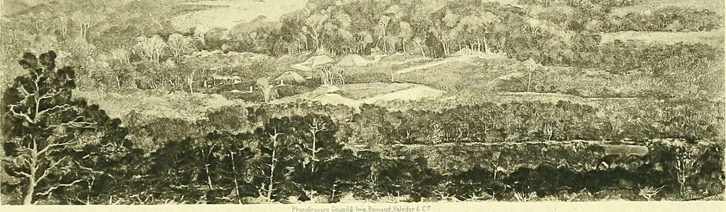 An illustration from Biologia Centrali-Americana, or, Contributions to the knowledge of the fauna and flora of Mexico and Central America, 1889, leaf 33