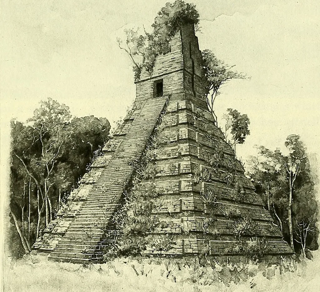 An illustration from Biologia Centrali-Americana, or, Contributions to the knowledge of the fauna and flora of Mexico and Central America, 1889, leaf 37