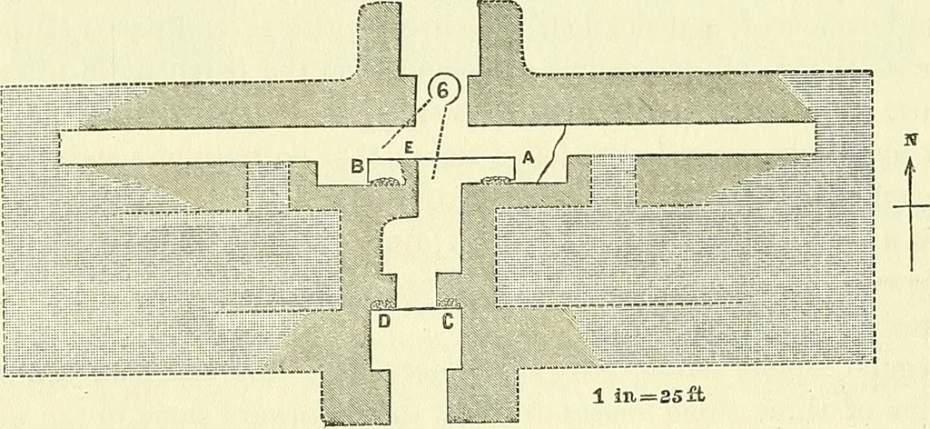 An illustration from Biologia Centrali-Americana, or, Contributions to the knowledge of the fauna and flora of Mexico and Central America, 1889, leaf 40