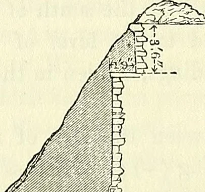 An illustration from Biologia Centrali-Americana, or, Contributions to the knowledge of the fauna and flora of Mexico and Central America, 1889, leaf 44