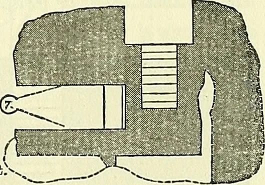 An illustration from Biologia Centrali-Americana, or, Contributions to the knowledge of the fauna and flora of Mexico and Central America, 1889, leaf 44