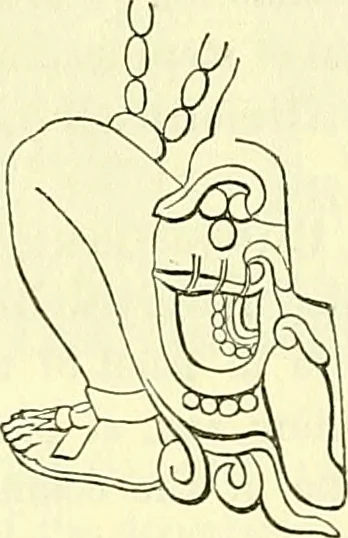 An illustration from Biologia Centrali-Americana, or, Contributions to the knowledge of the fauna and flora of Mexico and Central America, 1889, leaf 47