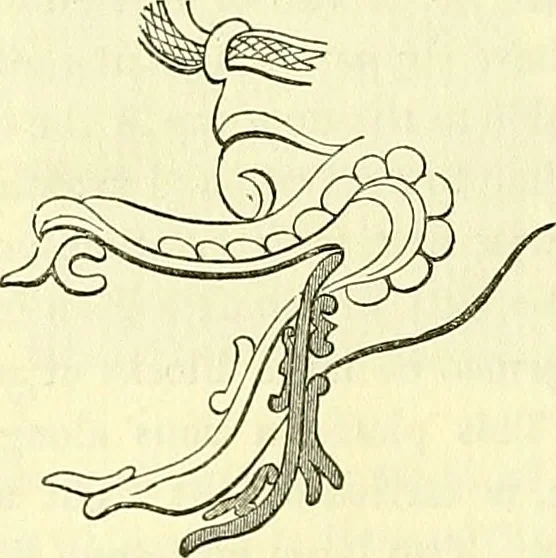 An illustration from Biologia Centrali-Americana, or, Contributions to the knowledge of the fauna and flora of Mexico and Central America, 1889, leaf 47