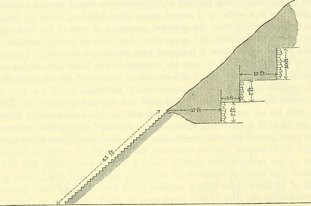 An illustration from Biologia Centrali-Americana, or, Contributions to the knowledge of the fauna and flora of Mexico and Central America, 1889, leaf 49