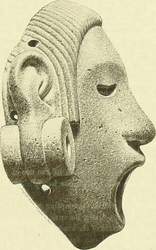 An illustration from Biologia Centrali-Americana, or, Contributions to the knowledge of the fauna and flora of Mexico and Central America, 1889, leaf 54