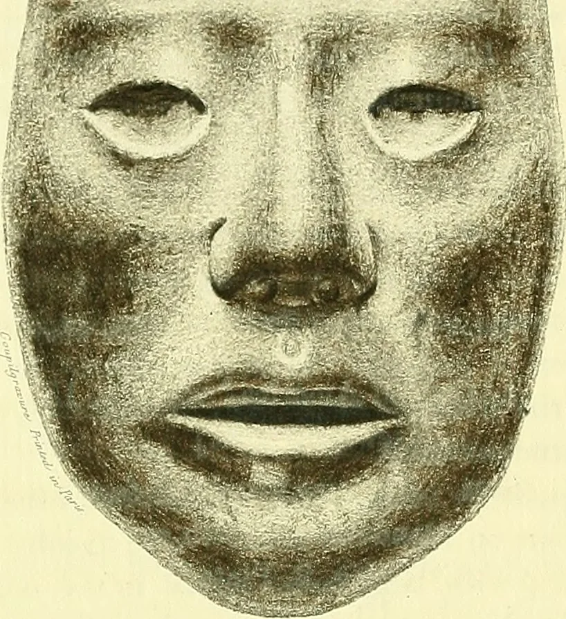 An illustration from Biologia Centrali-Americana, or, Contributions to the knowledge of the fauna and flora of Mexico and Central America, 1889, leaf 63