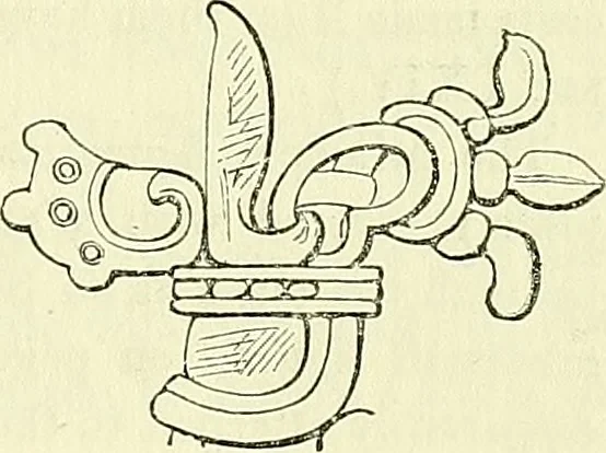 An illustration from Biologia Centrali-Americana, or, Contributions to the knowledge of the fauna and flora of Mexico and Central America, 1889, leaf 70