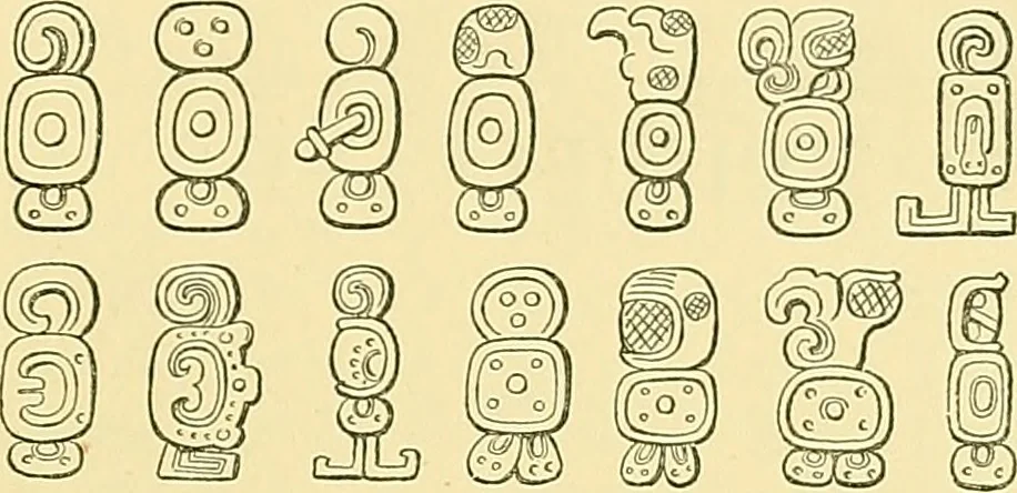 An illustration from Biologia Centrali-Americana, or, Contributions to the knowledge of the fauna and flora of Mexico and Central America, 1889, leaf 104