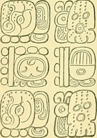 An illustration from Biologia Centrali-Americana, or, Contributions to the knowledge of the fauna and flora of Mexico and Central America, 1889, leaf 112