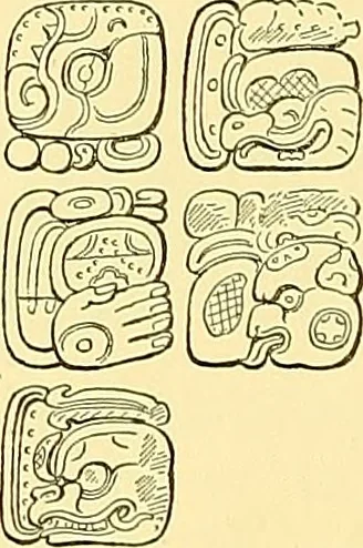 An illustration from Biologia Centrali-Americana, or, Contributions to the knowledge of the fauna and flora of Mexico and Central America, 1889, leaf 113